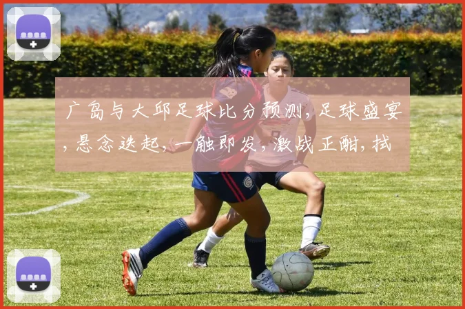 广岛与大邱足球比分预测,足球盛宴,悬念迭起,一触即发,激战正酣,拭目以待