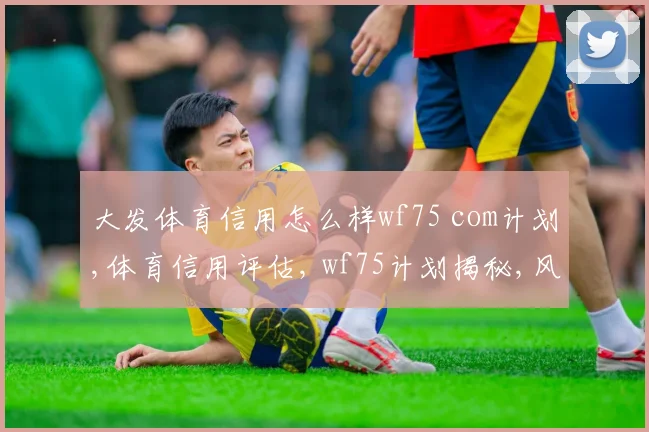 大发体育信用怎么样wf75 com计划,体育信用评估, wf75计划揭秘,风险与机遇并存